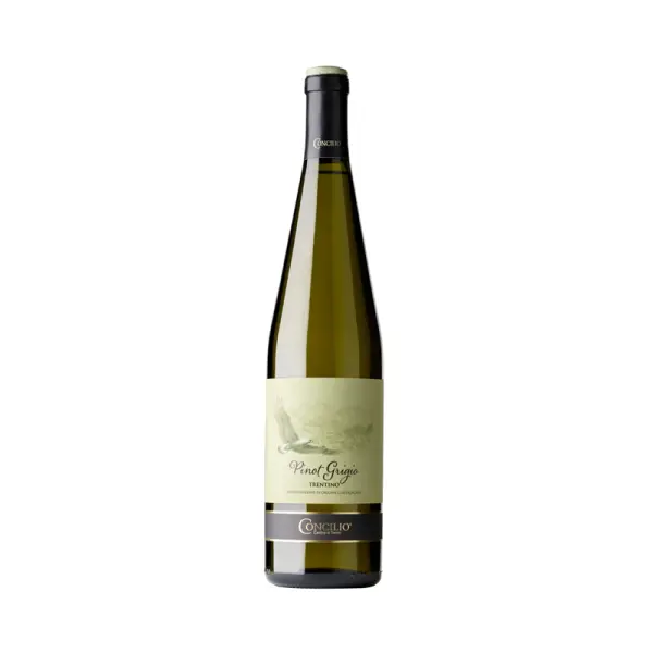 Víno bílé Pinot Grigio Trentino DOC 0,75l