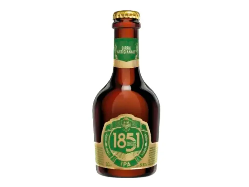1851 Pivo IPA 330ml