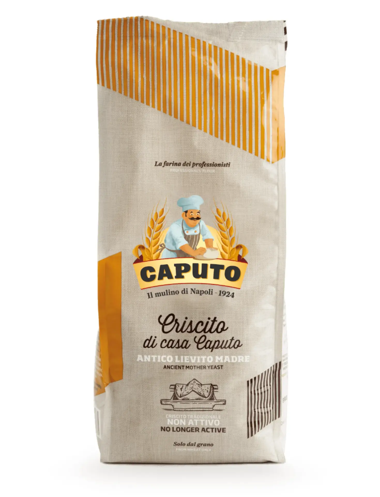 CAPUTO Přírodní kvasnice v prášku 1Kg